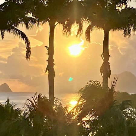 Superbe Studio Martinique Vue Rocher Du Diamant Sainte-Luce Ngoại thất bức ảnh